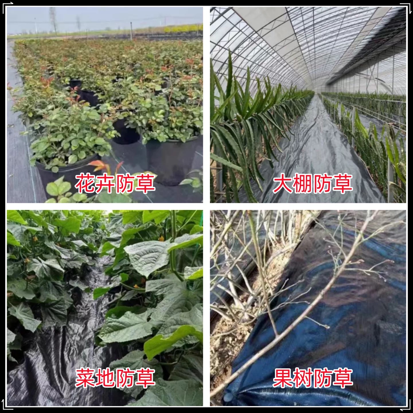 徐州市塑料薄膜防草布 - 方案