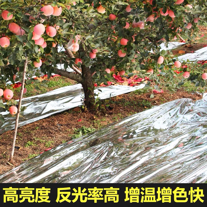 徐州市果树反光膜果树反光膜 - 排名